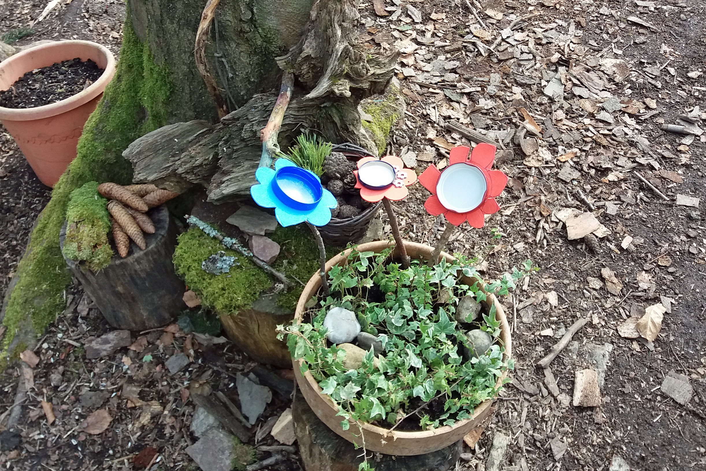 2018_filo-schmetterlingsprojekt (2)